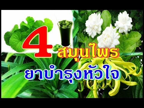 วางค้อนของ ธ อร์หลอกลวง เพิ่มความแข็งแรงปลอดภัย