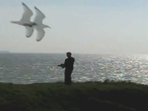 Hemai - Flow (feat. Laura Roy) [Official Audio]