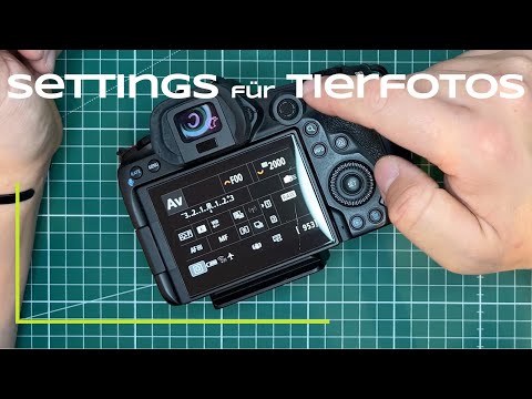 Kameraeinstellungen für Wildtierfotografie