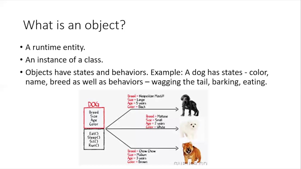 Master Object Oriented Programming With These Expert Tips!