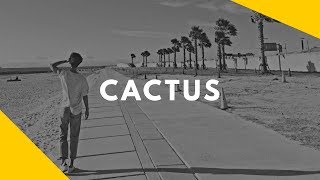 엔 (N) - 선인장 (Cactus) [Han/Eng Lyrics]
