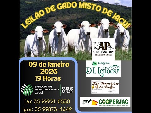 LEILÃO DE GADO SINDICATO DE JACUÍ. MG