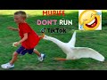 Murife Don T Run Tiktok Trending Videos 2022