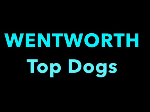 Wentworth Top Dogs