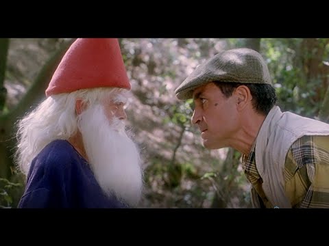 El perquè de tot plegat : dubte (micologia)