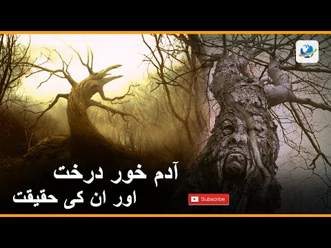 Fact about human eating tree | Scary  tree | Urdu | Hindi