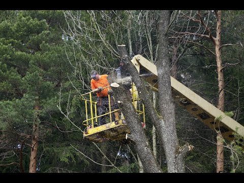 Prace Wysokościowe i Budownictwo Bogusław Nawalaniec - video