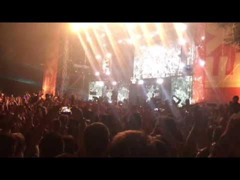 David Guetta - Without You live @ Exit Festival 2016