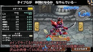 「DQモンパレ実況」ゆっくり達の最強パレード育成日記　565ページ目　転生注意報と久々のバトルスタジアム！！