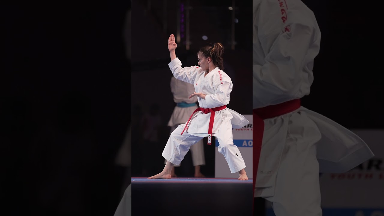 Anil vahdat Shariatpanahi. Gold medal in world karate youth league championship in uae Fujairah 2024