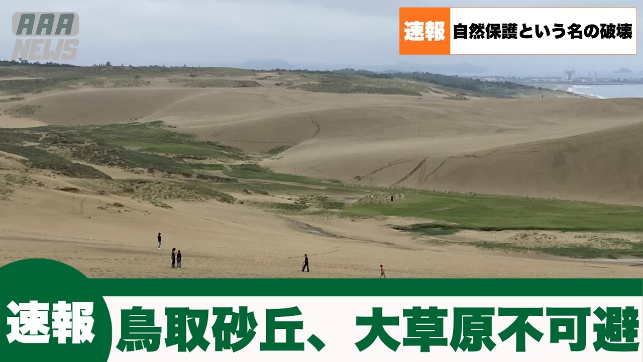 【速報】鳥取砂丘、草生えすぎて大草原