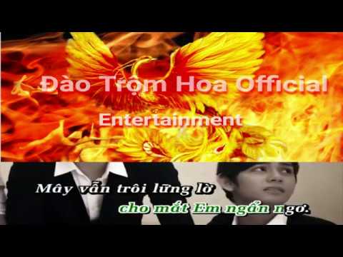 Karaoke Chút tình Phai- Đàm Vĩnh Hưng beat chuẩn