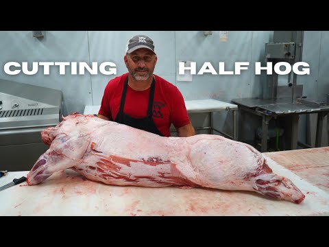 Half Hog - Breakdown