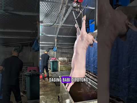 Cara Orang Vietnam Sembelih Babi, Bikin Melongo!