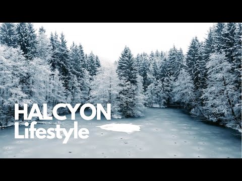 HALCYON Lifestyle -  DON'T CHOOSE EXTINCTION