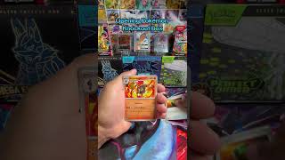 Opening Pokémon Knockout Box #pokemon #pokemoncardsopening #pokemontcg