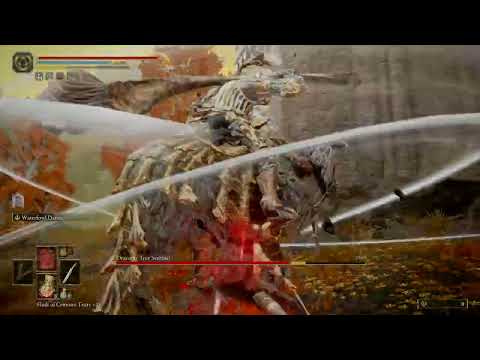 ELDEN RING™ Malenia vs. Draconic Tree Sentinel