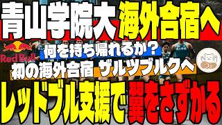 【青山学院大】翼をさずかった青学大！レッドブル支援で初のオーストリア海外合宿へ！他大学の国内合宿情報も交えて秋の行方はどうなる！【箱根駅伝】