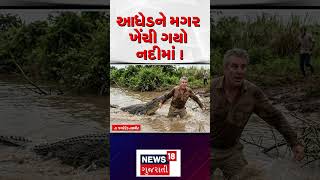 Vadodara News | આધેડને મગર ખેંચી ગયો નદીમાં । Gujarat | Gujarati News | News 18 Gujarati | N18S