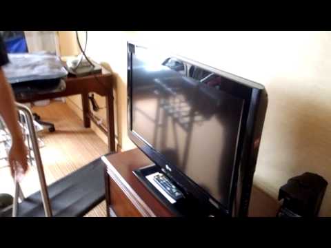 Pokemon National VGC 2013 team Gun-Leo Friday