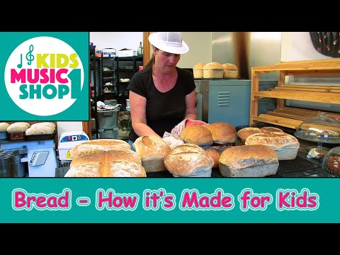 The Rise of Bread Baking | Vibepedia