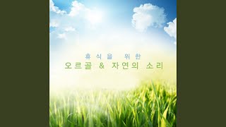 Download lagu Canon - Johann Pachelbel (캐논 변주곡 Canon - 파헬벨 Johann Pachelbel) mp3