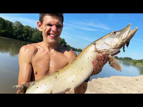 HUGE Vistula PIKE on a catfish set and the MADNESS is back!