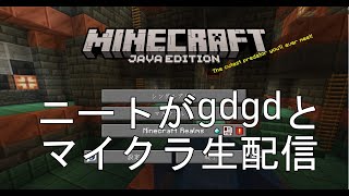 第33回ニートがgdgdマインクラフト作業する　無言配信3