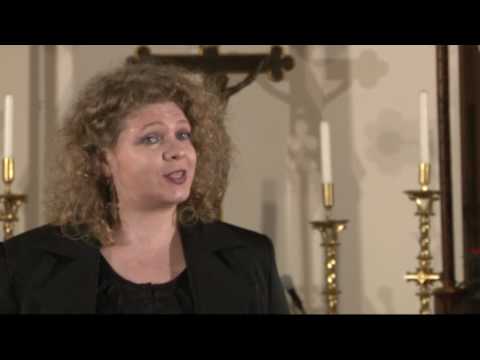 BAROQUE MUSIC FESTIVAL - Concert in Triest (17.01.2010)