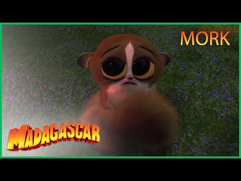 Capa de DreamWorks Madagascar em Português | Melhores momentos de Mork | Desenhos Animados