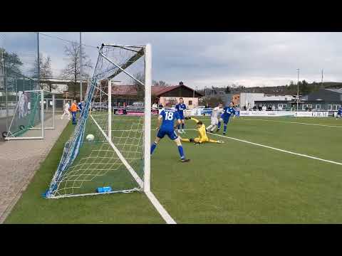 VfB Waldshut - SF Schliengen 7:3 (2:1) die VfB Tore