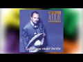 El Zacatecano - Pepe Aguilar del álbum  Por Una Mujer Bonita