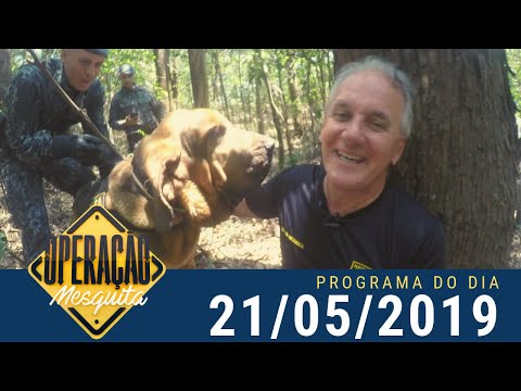 Operação Mesquita - 21/05/2019