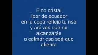 Ceremonia Durante la Tormenta   Indio Solari (Subtitulado)