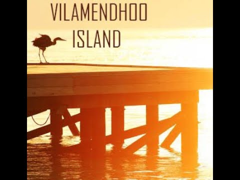 Vilamendhoo Island- beaches,house reef,diving