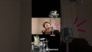 モンタージュ(オリジナル曲、ギター弾き語り)