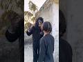 O Susto Gorilla Shortvideo Cartoon Comedy