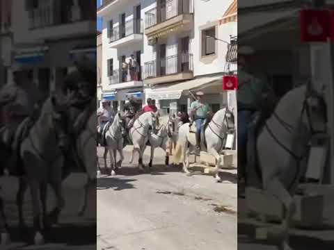 20 de agosto de 2024