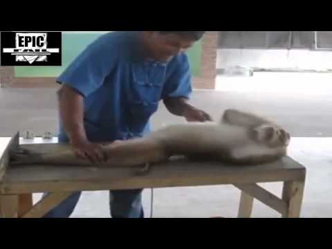 TopEpicFail    Best Fail Moments  May 2014 #9