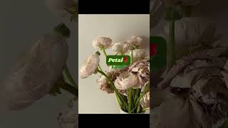 Spring inspired Girl names 💐 #names #uniquenames #babynames #baby #babygirlnames #fyp #viral