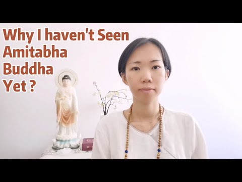 Why I Haven't Seen Amitabha Buddha Yet?