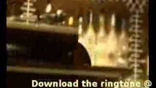 The Cat Empire - So Many Nights (Official Video &amp; Lyrics)