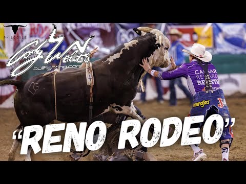Reno Rodeo part 1 -  Behind The Chutes #72