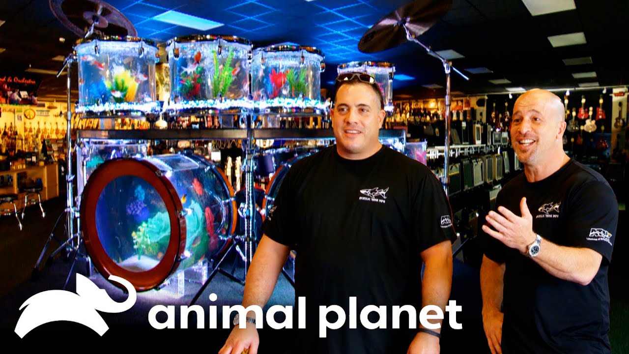 A Fish Tank in a Drum Set?? That you Can Play?! | Tanked | Animal Planet