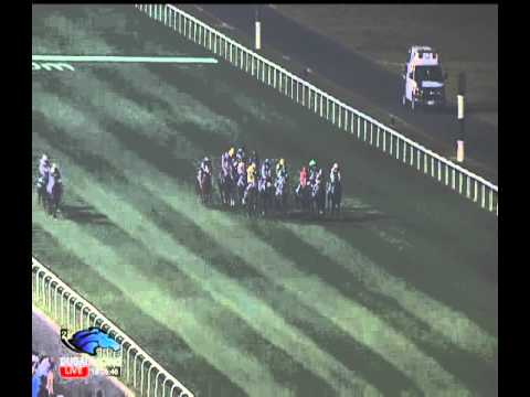 Alquoz Sprint 2013 G1 - SHEA SHEA