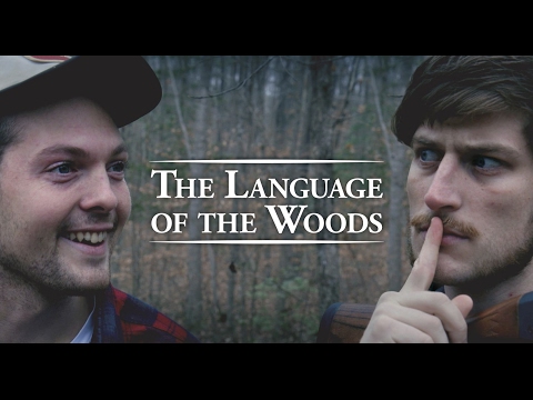 Psychic Pstories Episode 1: The Language of the Woods