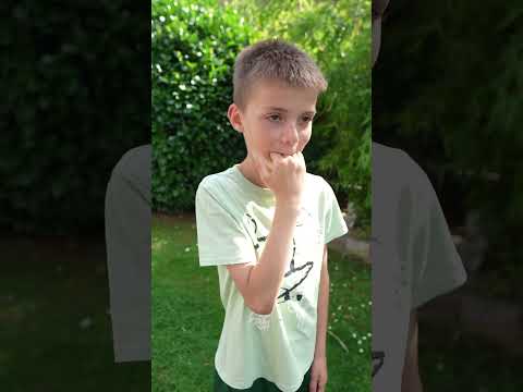 Stimmenchaos- Es gibt Eis!🍦 #shorts