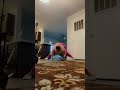 BBW Twerking Bbw Twerking Plussize