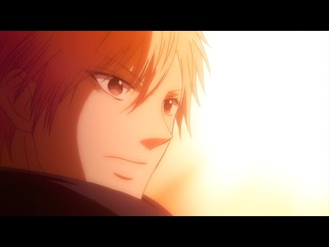 13 (Special ver.)