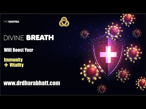 Dr. Dhara Bhatt Wellness